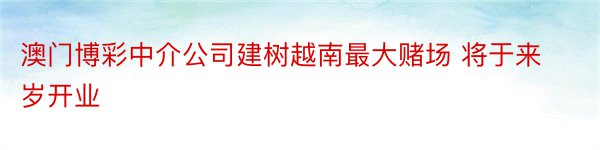 澳门博彩中介公司建树越南最大赌场 将于来岁开业